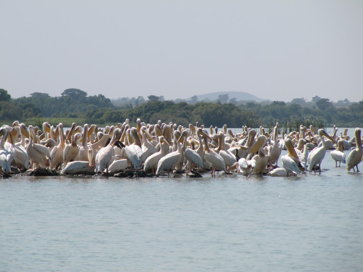 Lakemark Hotel And Tour Service Bahir Dar Exteriör bild