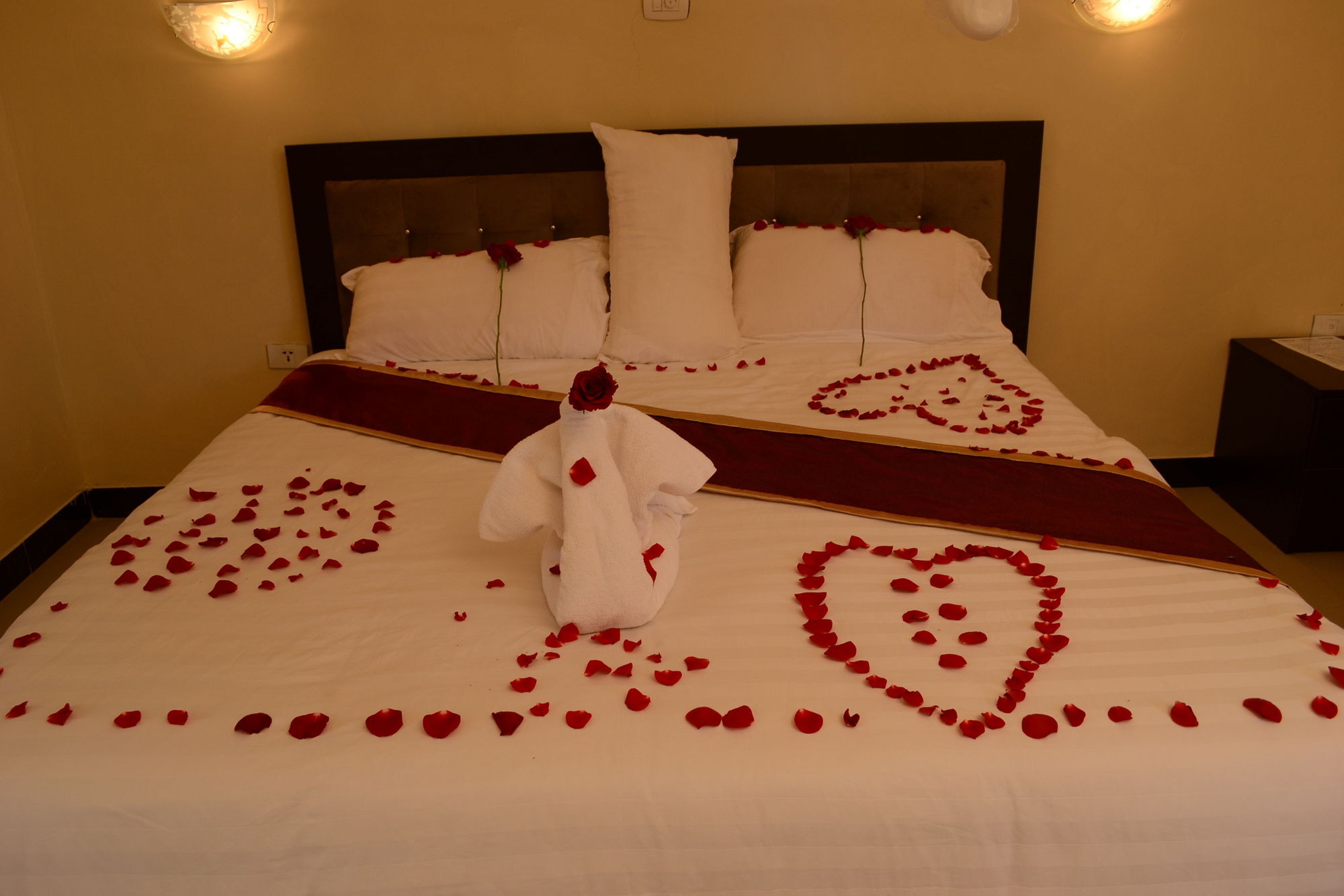 Lakemark Hotel And Tour Service Bahir Dar Exteriör bild